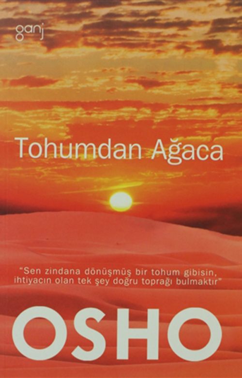 Tohumdan Ağaca